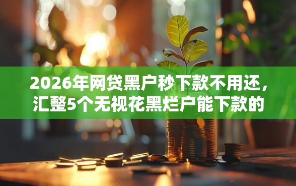 2026年网贷黑户秒下款不用还，汇整5个无视花黑烂户能下款的网贷