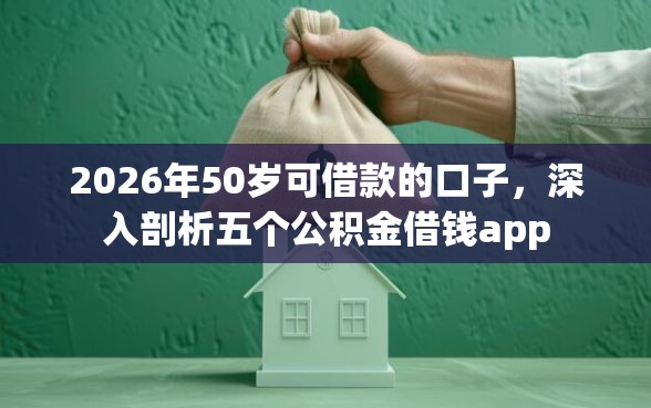 2026年50岁可借款的口子，深入剖析五个公积金借钱app