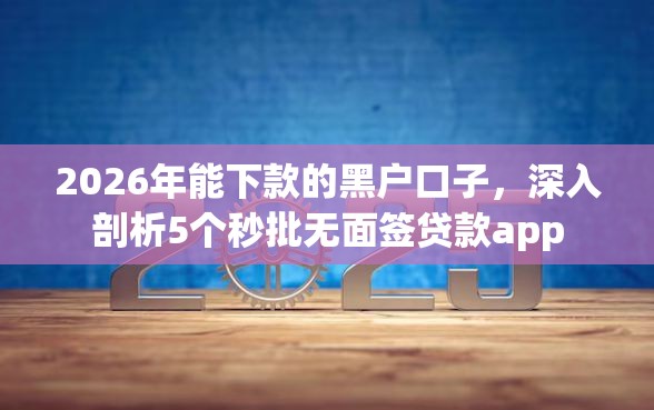 2026年能下款的黑户口子，深入剖析5个秒批无面签贷款app