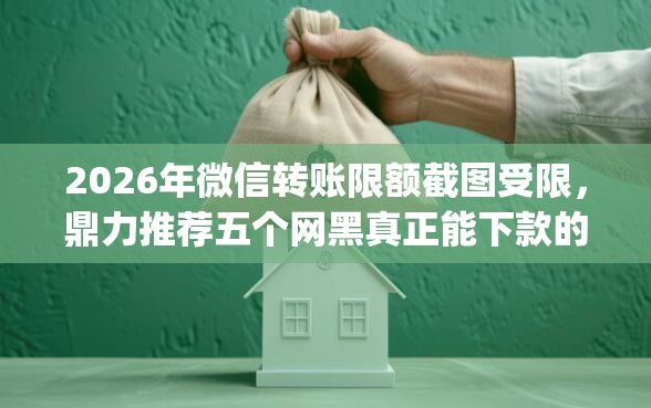 2026年微信转账限额截图受限，鼎力推荐五个网黑真正能下款的app