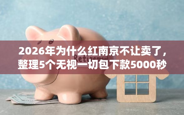 2026年为什么红南京不让卖了，整理5个无视一切包下款5000秒下款的app