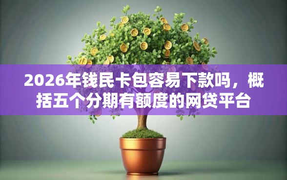 2026年钱民卡包容易下款吗，概括五个分期有额度的网贷平台