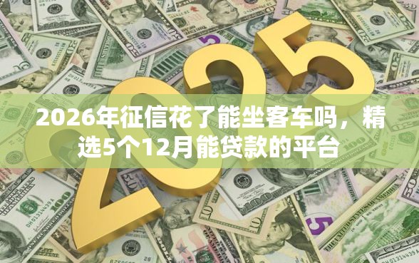 2026年征信花了能坐客车吗，精选5个12月能贷款的平台