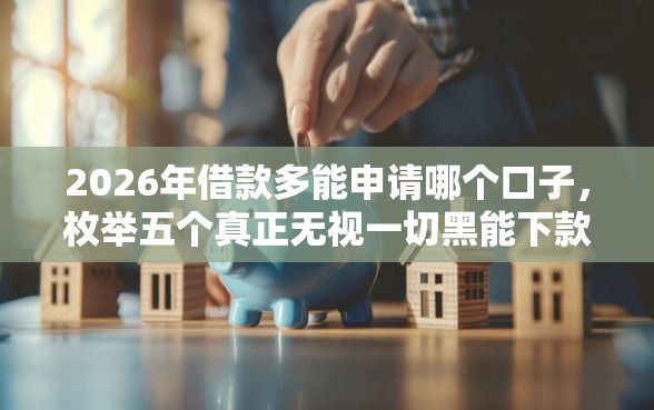 2026年借款多能申请哪个口子，枚举五个真正无视一切黑能下款口子
