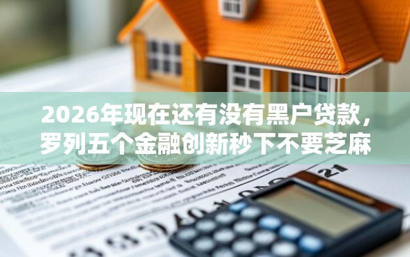 2026年现在还有没有黑户贷款，罗列五个金融创新秒下不要芝麻分的软件