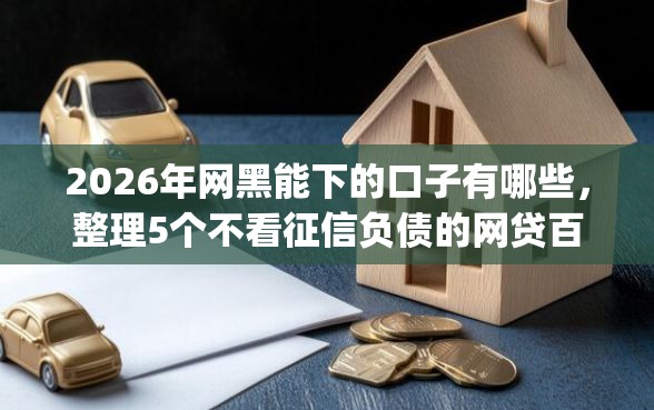 2026年网黑能下的口子有哪些，整理5个不看征信负债的网贷百分百下款app
