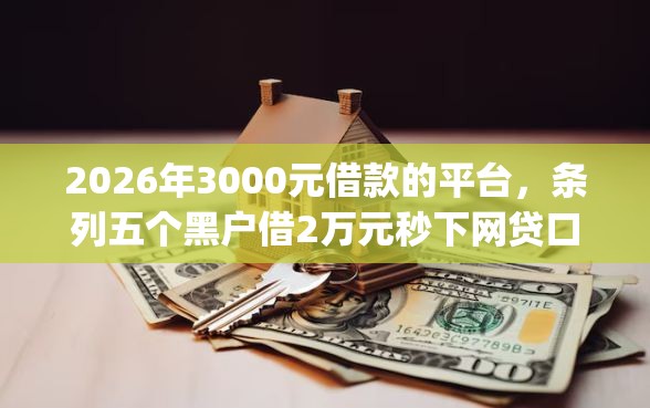 2026年3000元借款的平台，条列五个黑户借2万元秒下网贷口子app