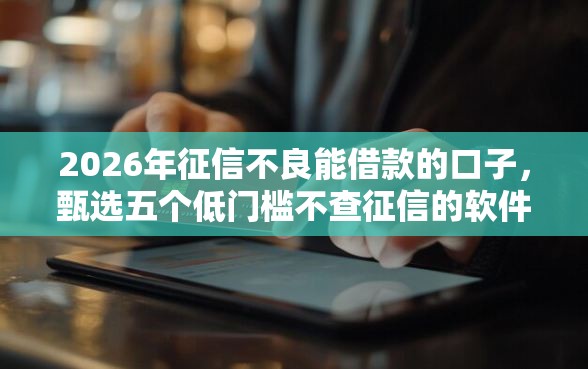 2026年征信不良能借款的口子，甄选五个低门槛不查征信的软件