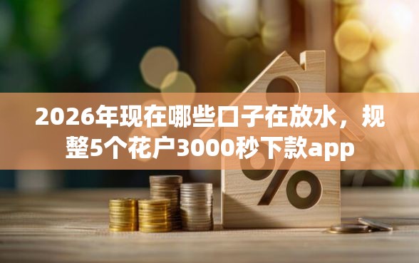 2026年现在哪些口子在放水，规整5个花户3000秒下款app