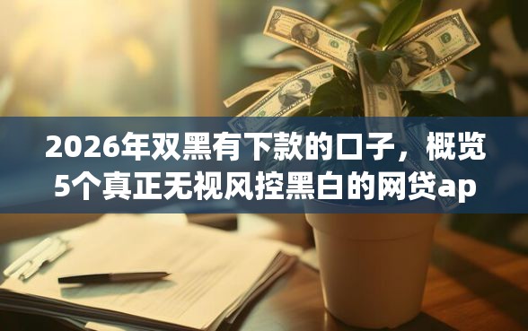 2026年双黑有下款的口子，概览5个真正无视风控黑白的网贷app