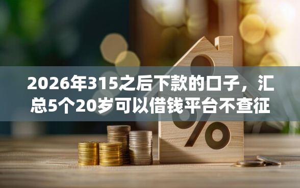 2026年315之后下款的口子，汇总5个20岁可以借钱平台不查征信的app