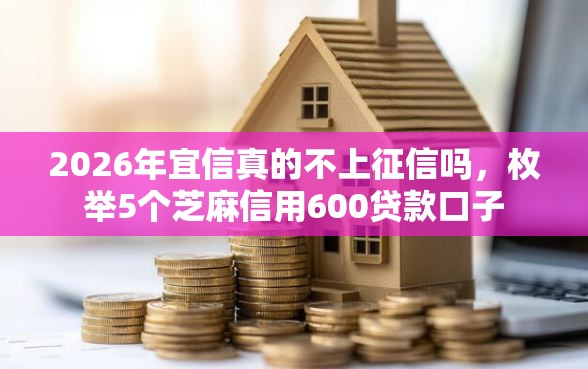 2026年宜信真的不上征信吗，枚举5个芝麻信用600贷款口子