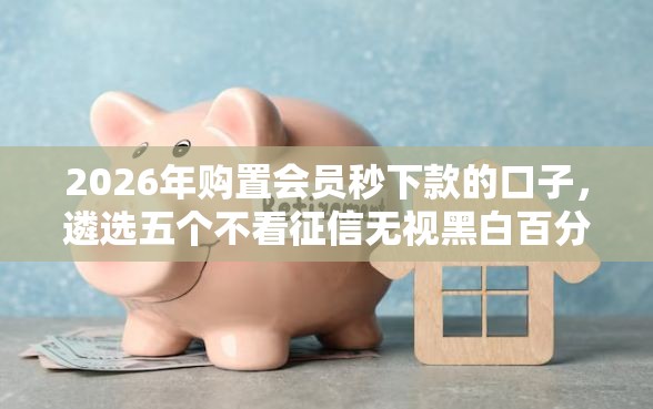 2026年购置会员秒下款的口子，遴选五个不看征信无视黑白百分百下款网贷平台