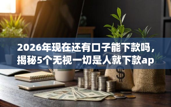 2026年现在还有口子能下款吗，揭秘5个无视一切是人就下款app