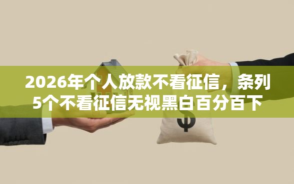 2026年个人放款不看征信，条列5个不看征信无视黑白百分百下款网贷软件