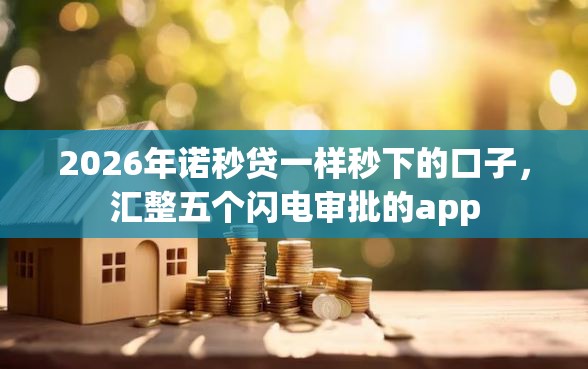 2026年诺秒贷一样秒下的口子，汇整五个闪电审批的app