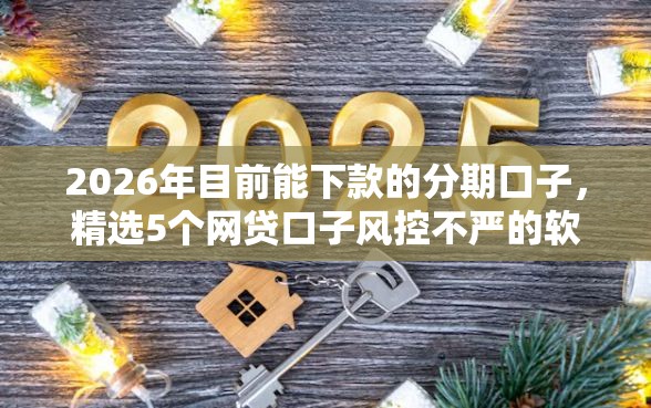 2026年目前能下款的分期口子，精选5个网贷口子风控不严的软件
