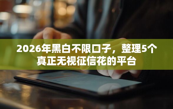 2026年黑白不限口子，整理5个真正无视征信花的平台