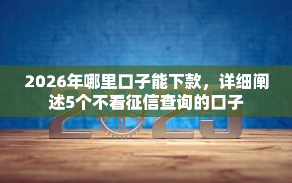 2026年哪里口子能下款，详细阐述5个不看征信查询的口子
