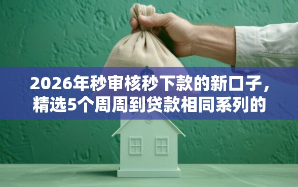 2026年秒审核秒下款的新口子，精选5个周周到贷款相同系列的口子