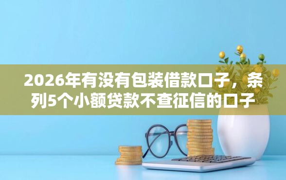 2026年有没有包装借款口子，条列5个小额贷款不查征信的口子