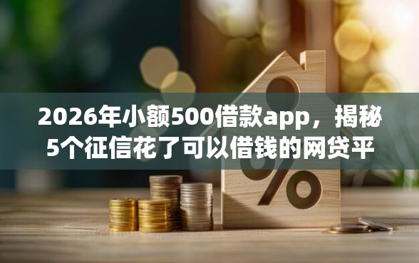 2026年小额500借款app，揭秘5个征信花了可以借钱的网贷平台