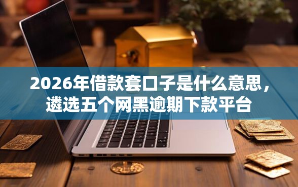 2026年借款套口子是什么意思，遴选五个网黑逾期下款平台
