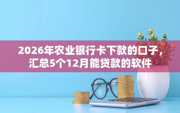 2026年农业银行卡下款的口子，汇总5个12月能贷款的软件