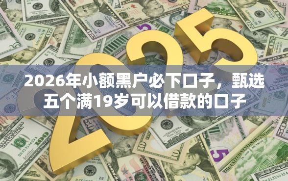 2026年小额黑户必下口子，甄选五个满19岁可以借款的口子