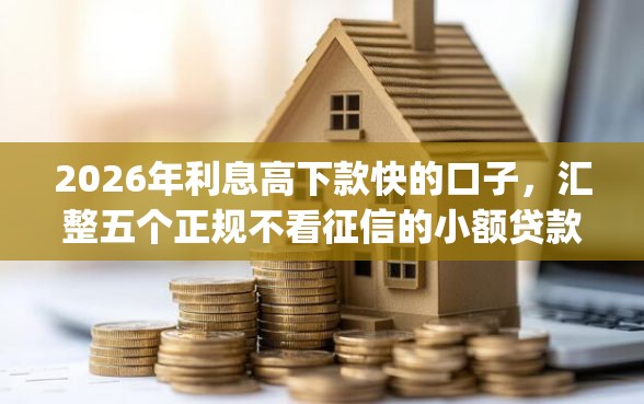 2026年利息高下款快的口子，汇整五个正规不看征信的小额贷款app