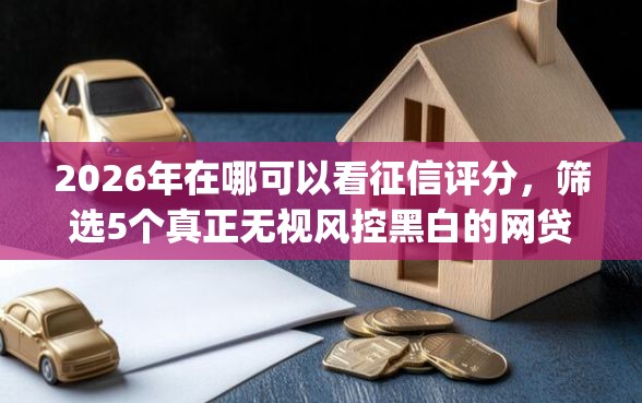 2026年在哪可以看征信评分，筛选5个真正无视风控黑白的网贷app