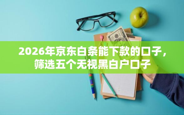 2026年京东白条能下款的口子，筛选五个无视黑白户口子