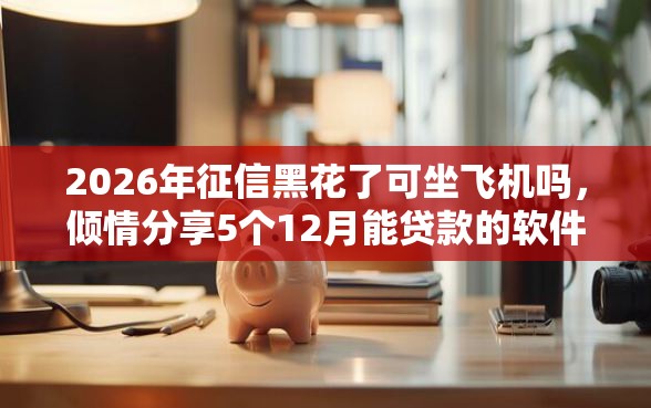 2026年征信黑花了可坐飞机吗，倾情分享5个12月能贷款的软件