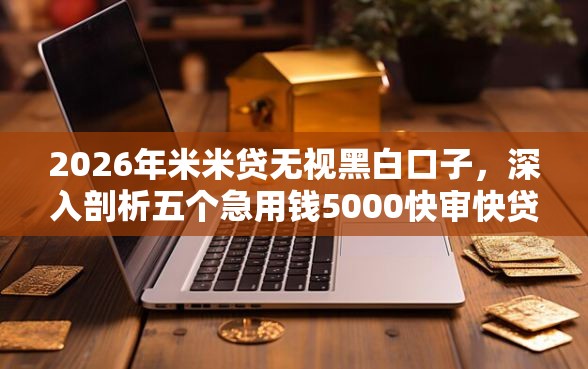2026年米米贷无视黑白口子，深入剖析五个急用钱5000快审快贷无需征信口子