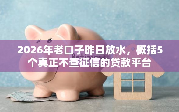 2026年老口子昨日放水，概括5个真正不查征信的贷款平台