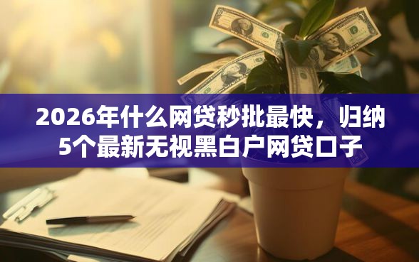 2026年什么网贷秒批最快，归纳5个最新无视黑白户网贷口子