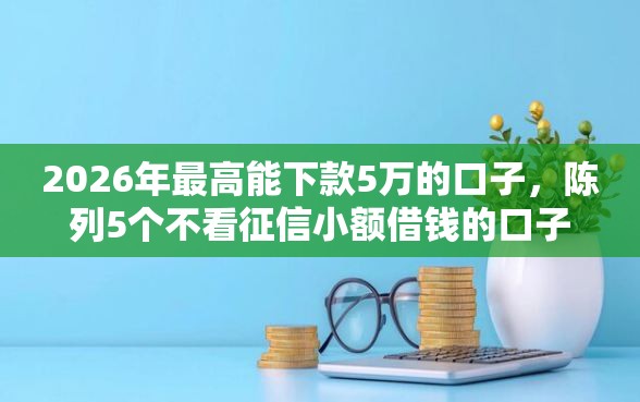 2026年最高能下款5万的口子，陈列5个不看征信小额借钱的口子