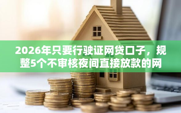 2026年只要行驶证网贷口子，规整5个不审核夜间直接放款的网贷平台