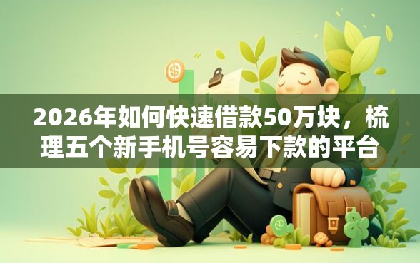 2026年如何快速借款50万块，梳理五个新手机号容易下款的平台