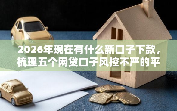 2026年现在有什么新口子下款，梳理五个网贷口子风控不严的平台