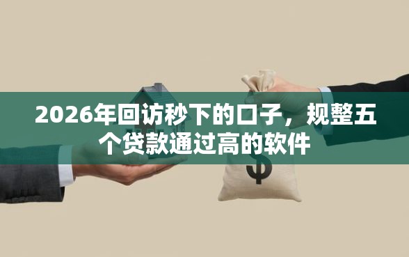 2026年回访秒下的口子，规整五个贷款通过高的软件