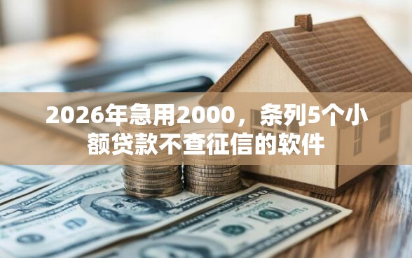 2026年急用2000，条列5个小额贷款不查征信的软件