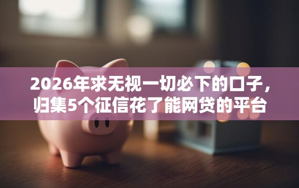 2026年求无视一切必下的口子，归集5个征信花了能网贷的平台