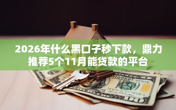 2026年什么黑口子秒下款，鼎力推荐5个11月能贷款的平台