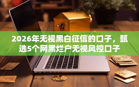 2026年无视黑白征信的口子，甄选5个网黑烂户无视风控口子