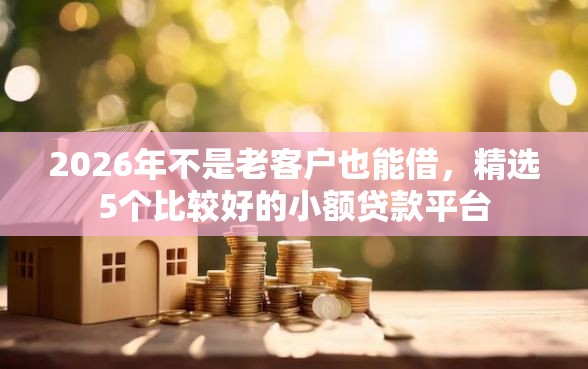 2026年不是老客户也能借，精选5个比较好的小额贷款平台