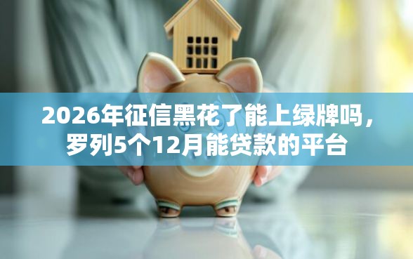2026年征信黑花了能上绿牌吗，罗列5个12月能贷款的平台