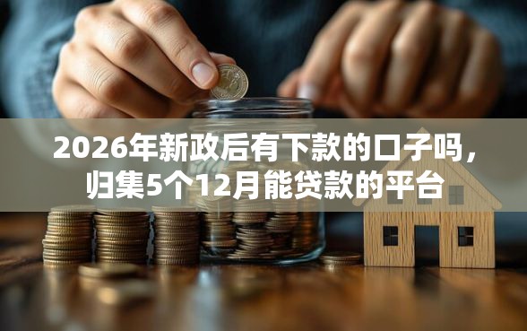 2026年新政后有下款的口子吗，归集5个12月能贷款的平台