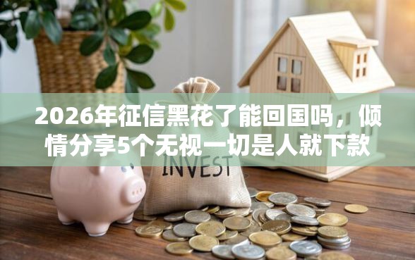 2026年征信黑花了能回国吗，倾情分享5个无视一切是人就下款软件