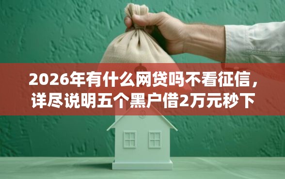2026年有什么网贷吗不看征信，详尽说明五个黑户借2万元秒下网贷口子app